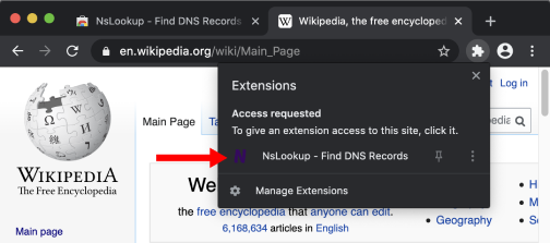 Click on the NsLookup extension