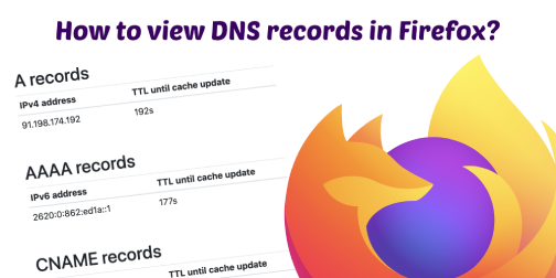 How to view DNS records in Firefox